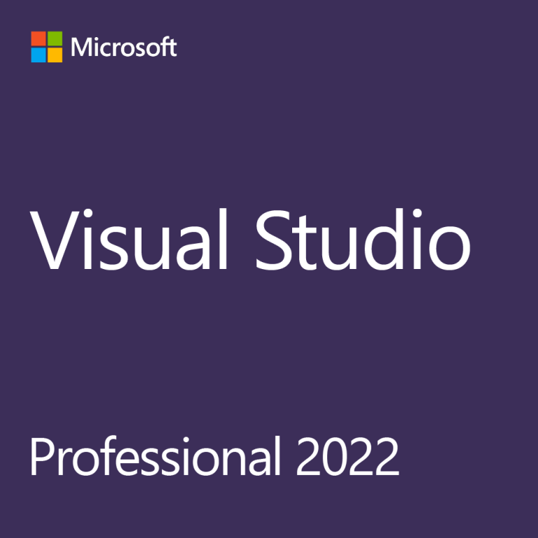 Microsoft Visual Studio ›